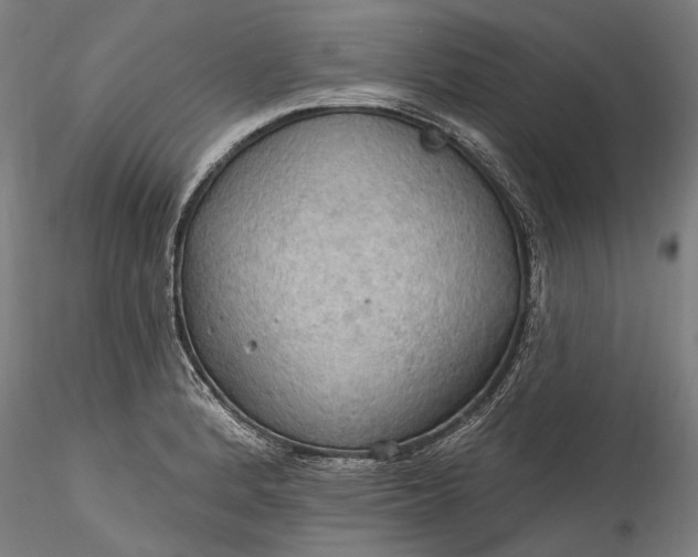 X0000115791184200911271220