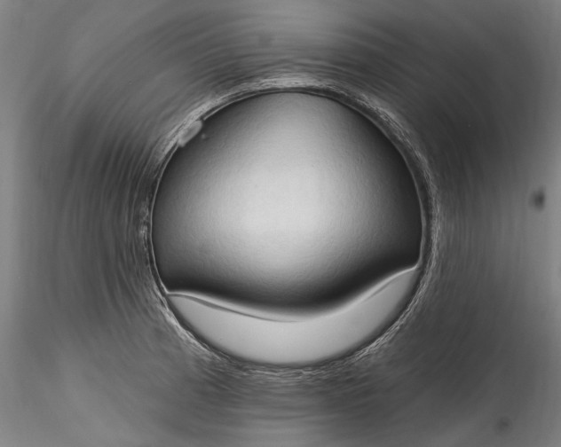 X0000115791185200911271220