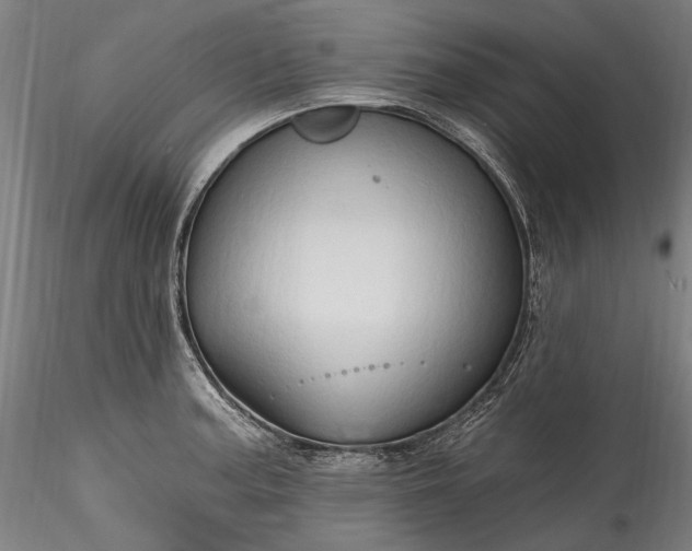 X0000115791187200911271220