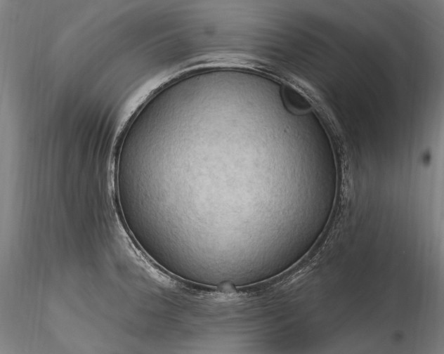 X0000115791188200911271220