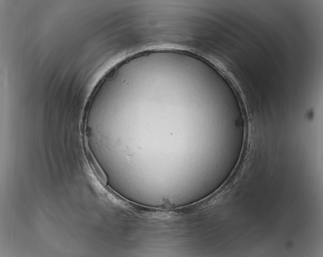 X0000115791189200911271220