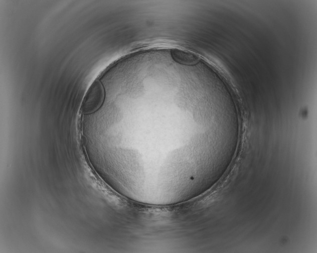 X0000115791190200911271220