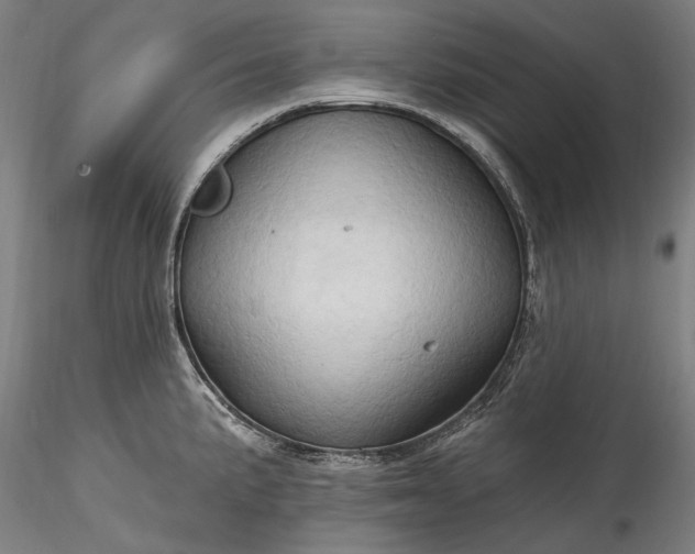 X0000115791191200911271220