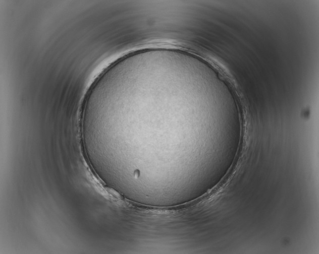 X0000115791192200911271220