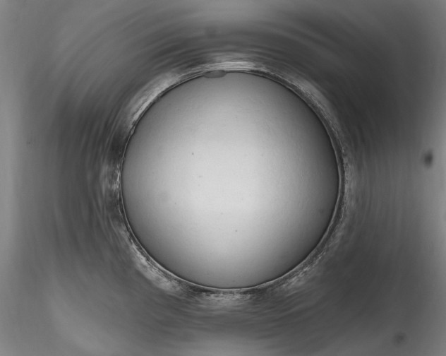 X0000115791193200911271220