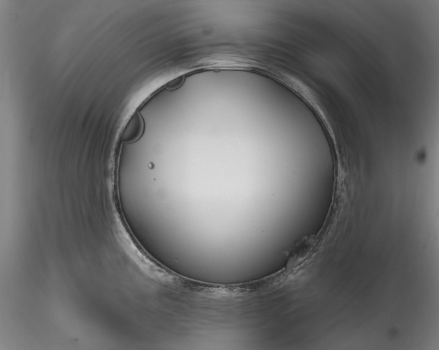 X0000115791195200911271220