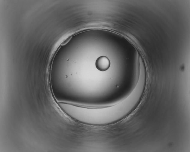 X0000115791196200911271220