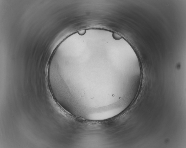 X0000115791198200911271219