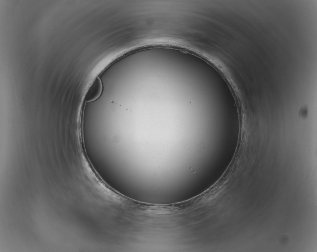 X0000115791199200911271219