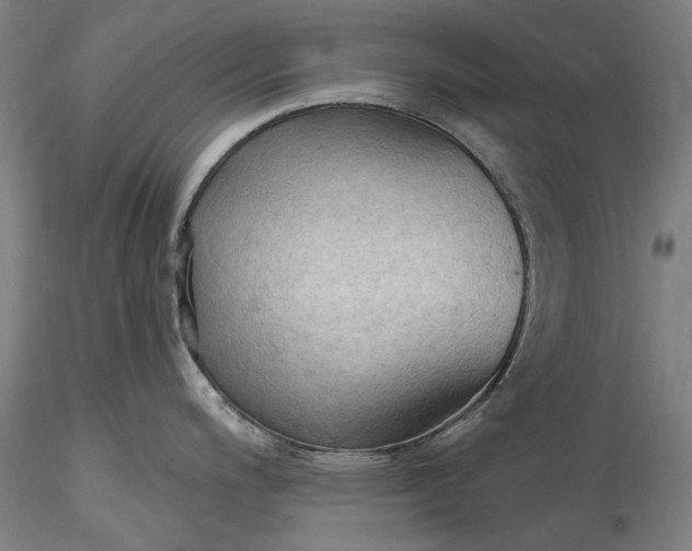 X0000115791200200911271219