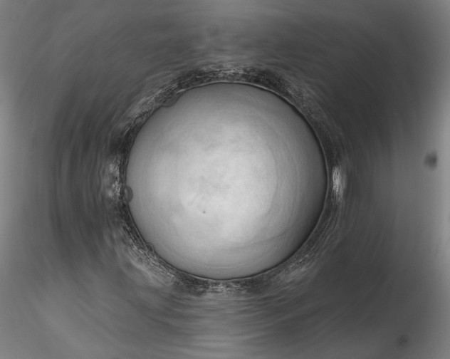 X0000115791203200911271219