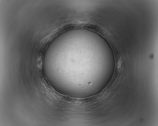 X0000115791204200911271219