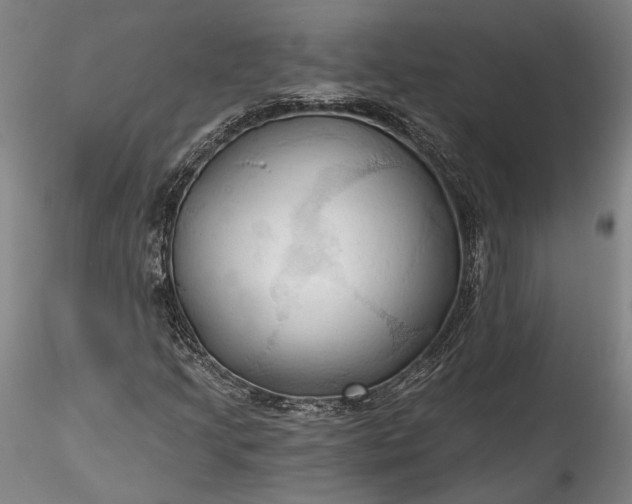 X0000115791205200911271219