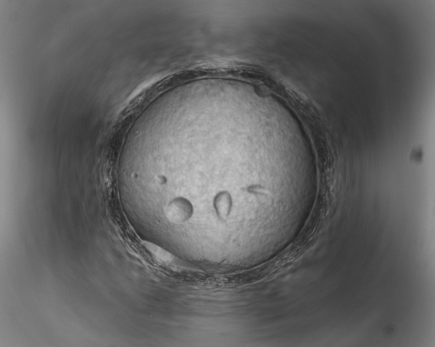 X0000115791206200911271219