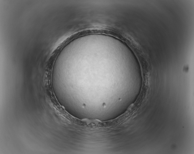 X0000115791208200911271219