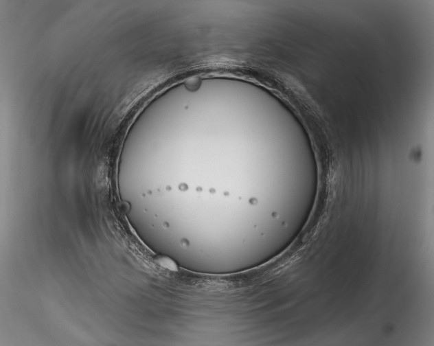 X0000115791209200911271219