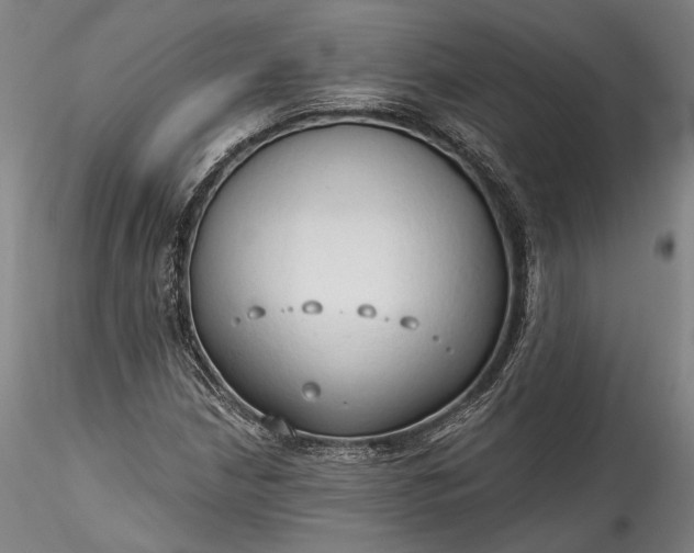 X0000115791210200911271219