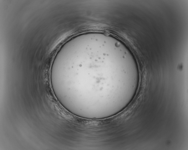 X0000115791211200911271219