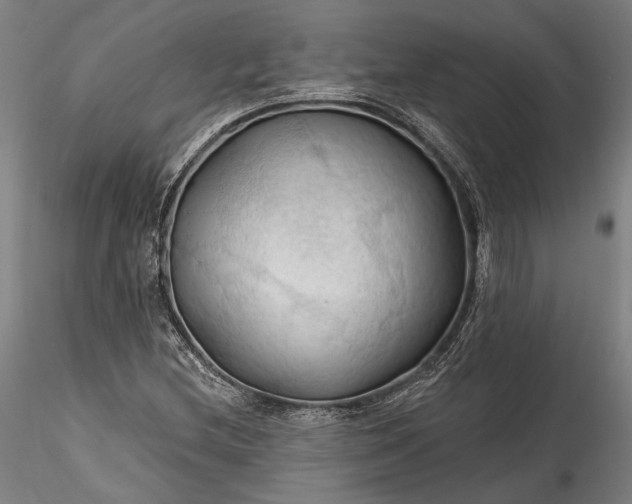 X0000115791212200911271219