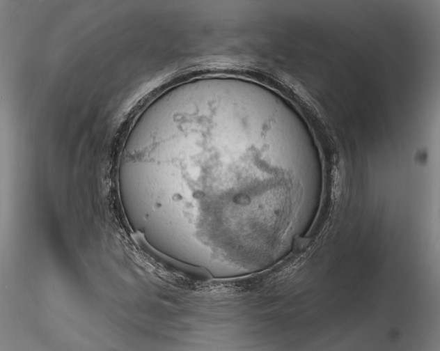 X0000115791213200911271219