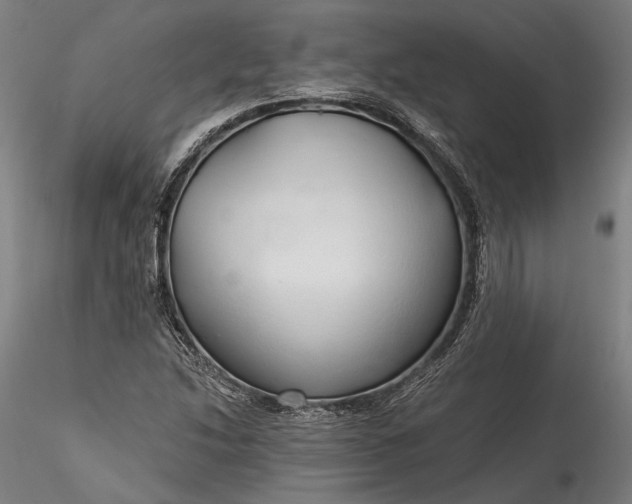 X0000115791214200911271219