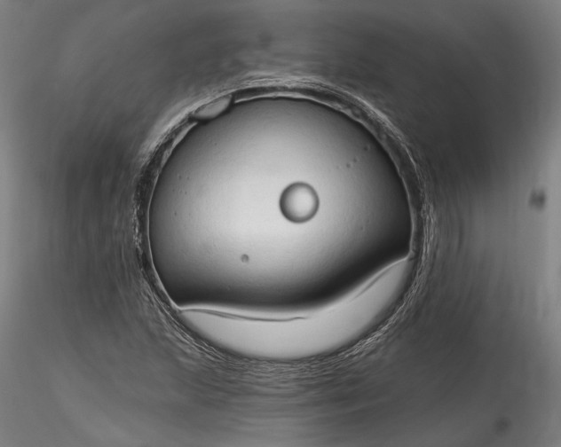 X0000115791215200911271219