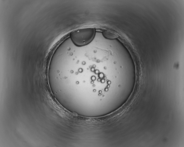 X0000115791216200911271219