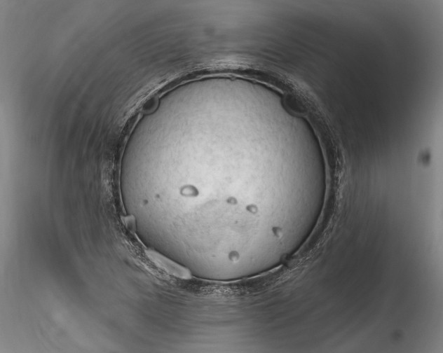 X0000115791217200911271219