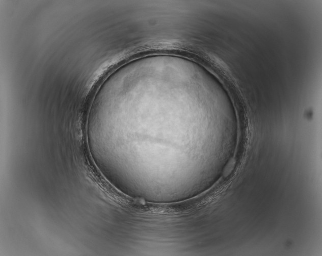 X0000115791218200911271219