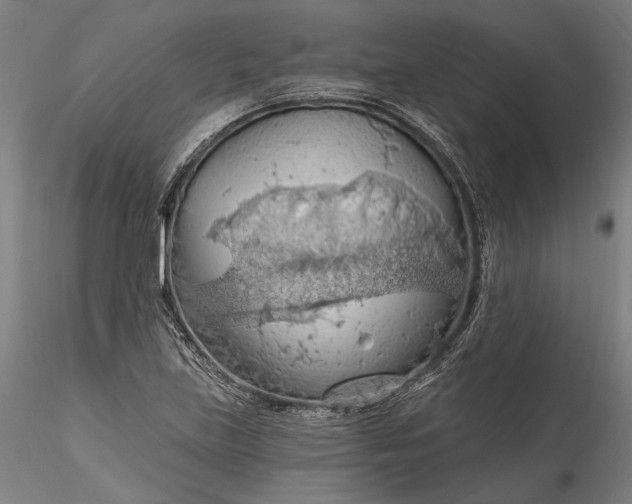 X0000115791219200911271219