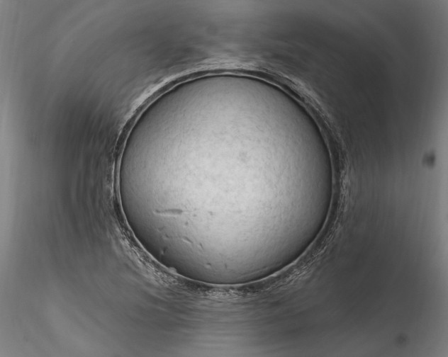 X0000115791220200911271219