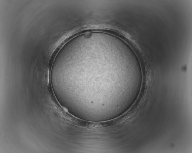 X0000115791221200911271219