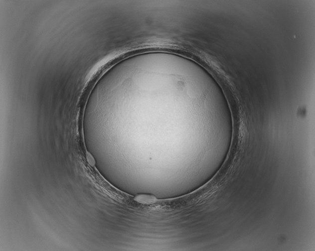 X0000115791222200911271219