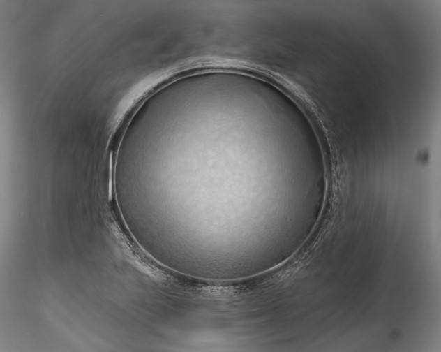 X0000115791223200911271219