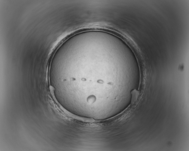 X0000115791224200911271219