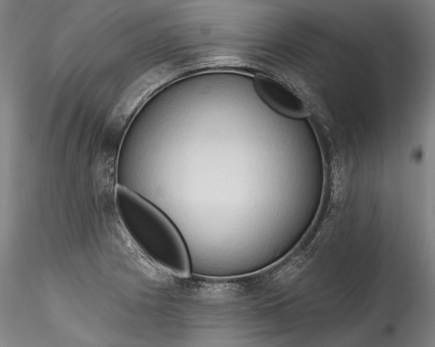 X0000115791225200911271219