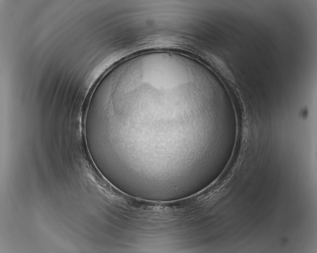 X0000115791226200911271219