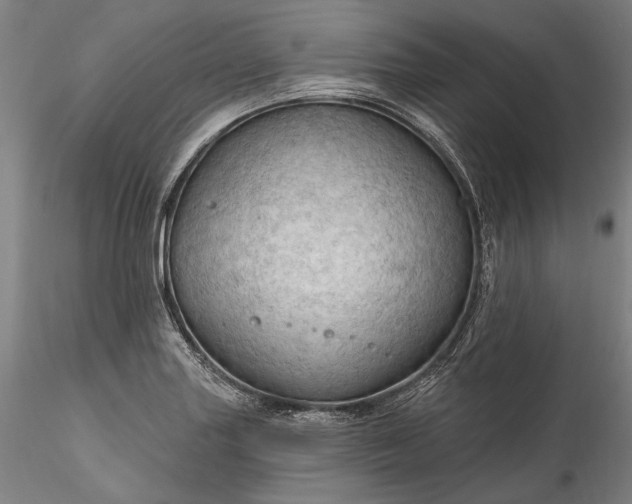 X0000115791227200911271219