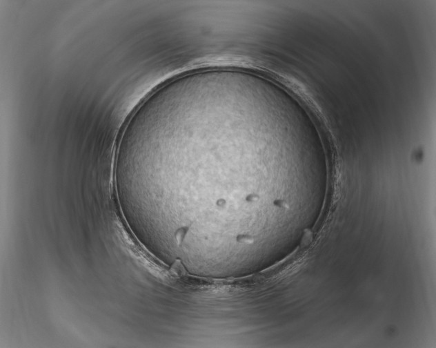 X0000115791228200911271219