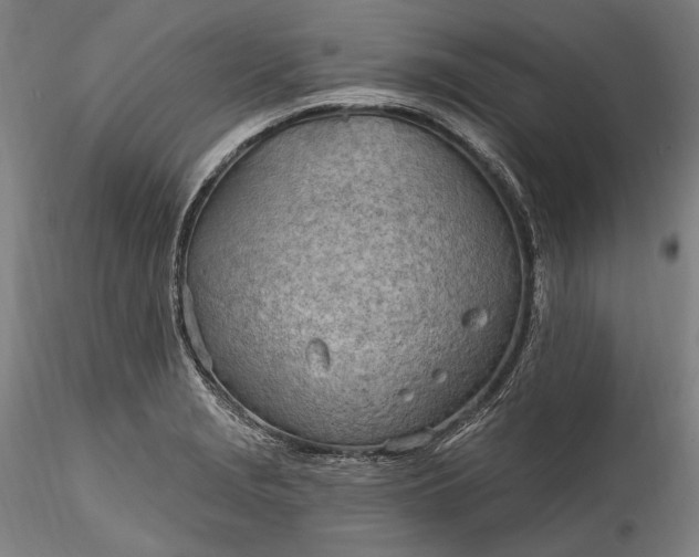 X0000115791229200911271219