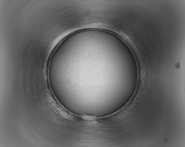 X0000115791230200911271219