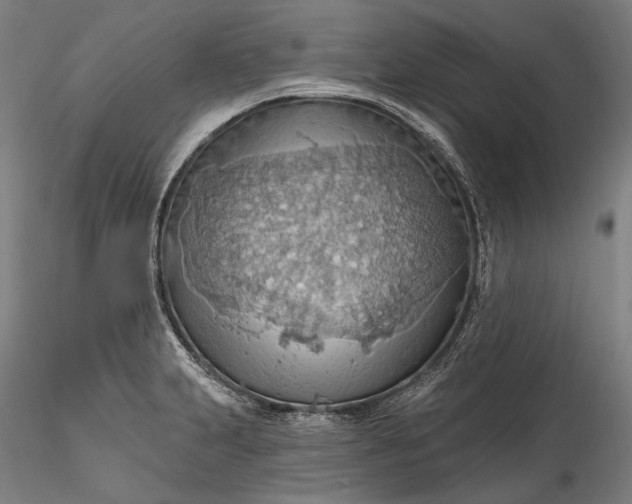 X0000115791231200911271219