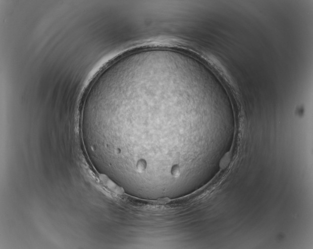 X0000115791232200911271219