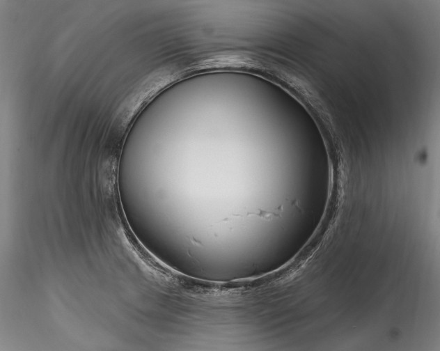 X0000115791233200911271219