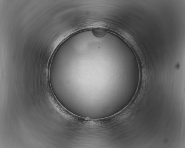 X0000115791234200911271219