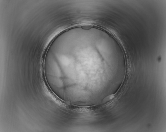 X0000115791235200911271219