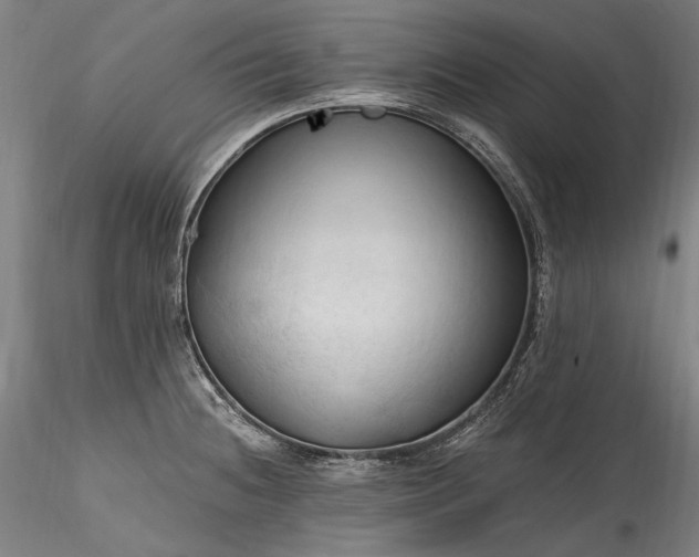 X0000115791236200911271219