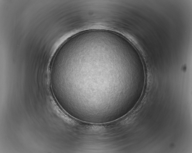 X0000115791238200911271219