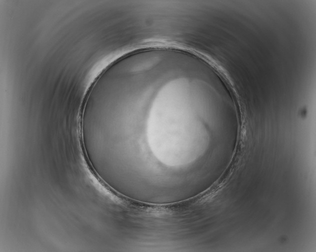 X0000115791239200911271219