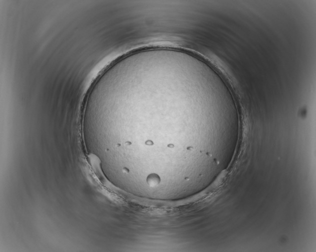 X0000115791240200911271219